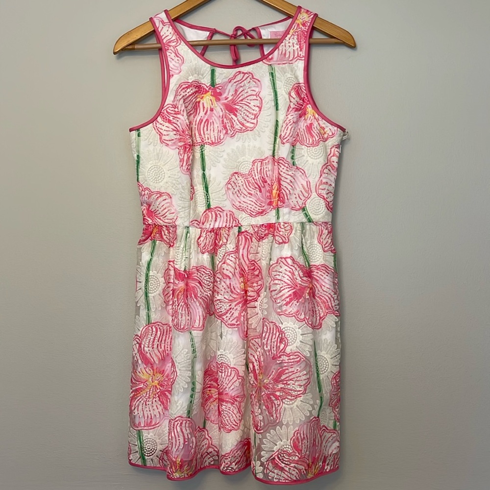 Lilly Pulitzer Darcelle Embroidered Organza Dress - Size 6